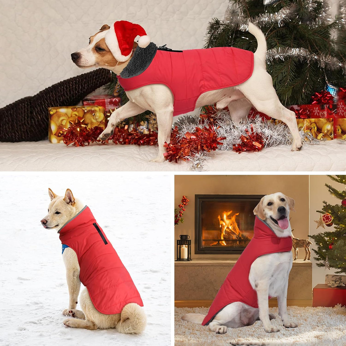 Waterproof Dog Winter Coat - Red / XS(Chest Girth:8.7-12.6") - image 3