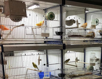 HappyBird Lightning (A Divison of M&M Cage) 8" LED linkable Light bar Without Power Source for Multiple Bird Breeder Cages, Full Spectrum LED. Will NOT Run ON ITS OWN (Single)