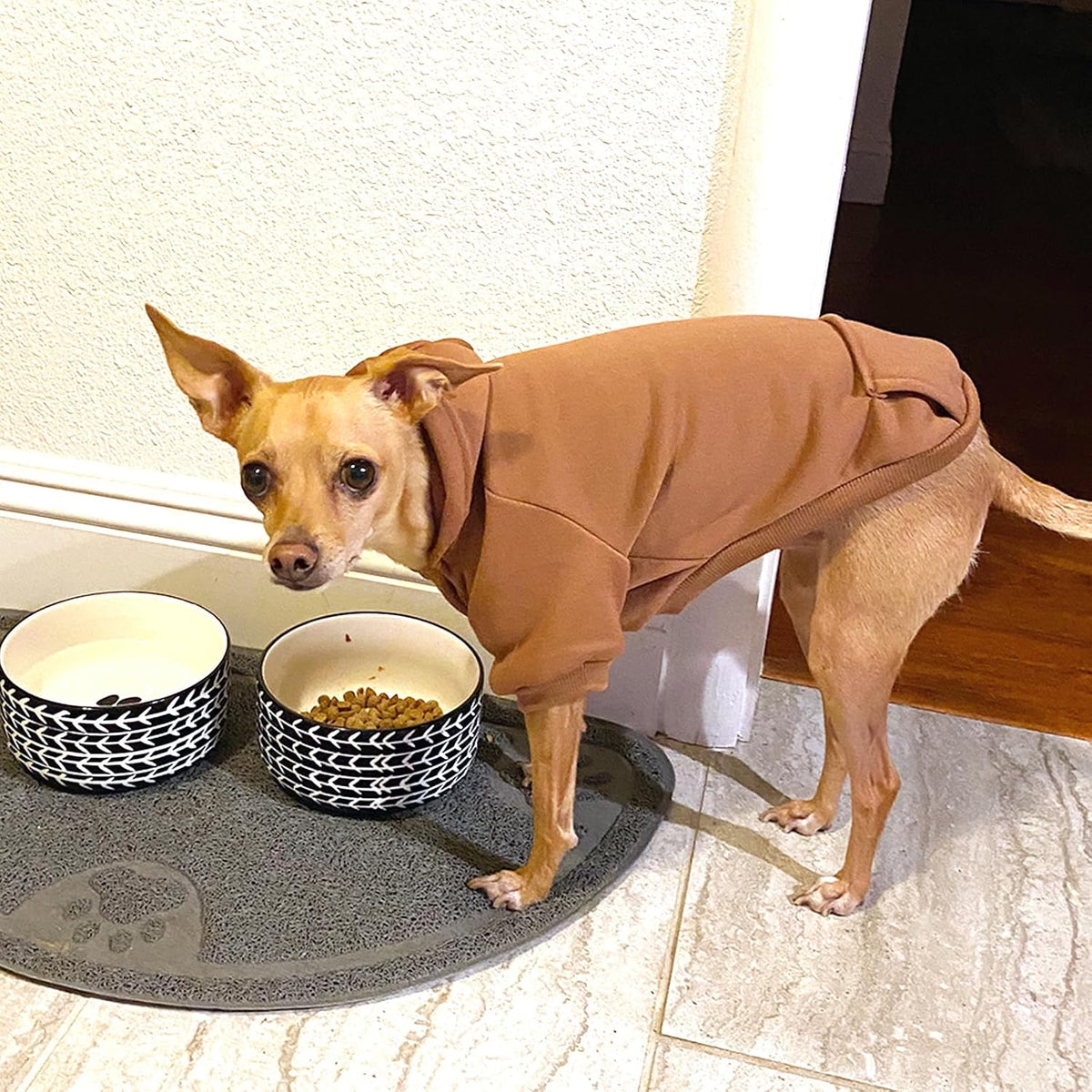 Soft Dog Hoodies for Small Dogs - Coffee / Large - image 3