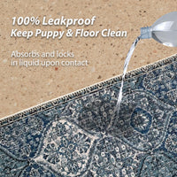 Washable Pee Pads for Dogs, Stylish - 48x48 Inch (Pack of 2) / Blue/Multi - image 4