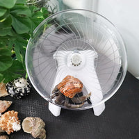 Hermit Crabs Wheel Toy, Hamster Running Wheel Toys - Large / White - image 2