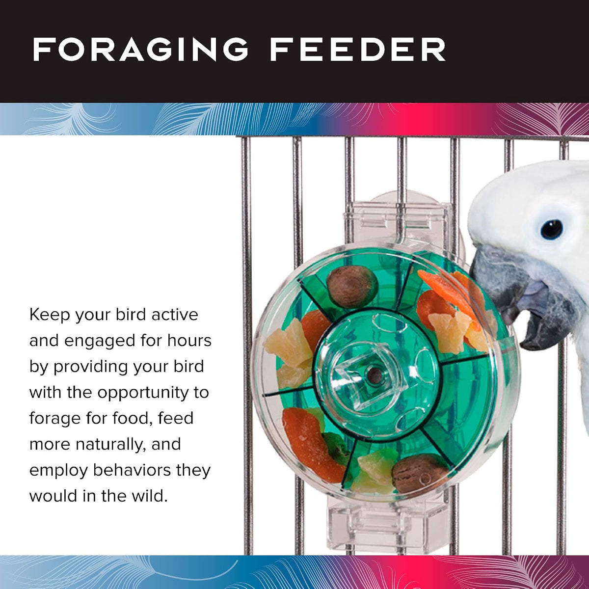 Featherland Paradise, Creative Foraging Systems Bird Cage Feeder - X-Large - image 3