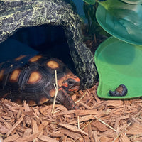 Turtle Basking Platform,Resin Bearded Dragon Basking Platform Reptile Habitat Cave Climbing Ramp - hideout / Dark grey - image 2