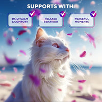 Calming Pheromone Spray & Scratch Repellent for Cats - Reduces Scratching Furniture, Pee - During Travel, Fireworks, Thunder, Vet Zone - Helps with Stress, Fighting, Hiding (100 ml (2 pack))