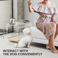 Sumerflos Clear Acrylic Dog Crate - Modern Dog Kennel Furniture, Indoor End Table Dog Crate Lockable Ventilated for Most Small Dog Cat Pet, 21.65" L x 15.74" W x 17.71" H