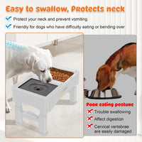 3-in-1 Elevated Dog Bowls with 4 Height Adjustable Raised Stand – Essentials for Dogs - White / 3-in-1 Dog Bowls Set - image 3