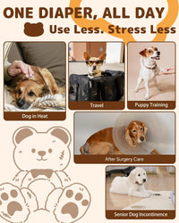 Dono Disposable Pull Up Dog Diapers Female - L (Waist13.3"-21.2") / 20.0 - image 3