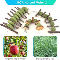 ERKOON Bunny Chew Toys, Rabbit Chew Toys for Teeth Grinding, Improve Dental Health, 100% Natural Apple Wood Timothy Grass Cake Treats for Rabbits Guinea Pigs Chinchillas Bunnies Hamsters (9 Pcs)