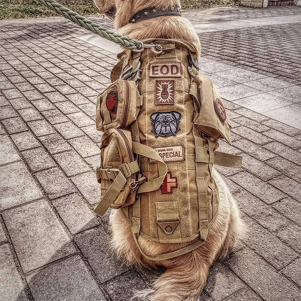 Tactical Dog Vest Harness with 3 MOLLE Bags&1 Bungee Leash – Essentials for Dogs - Black / L:Harness neck 11.4"~18.9", chest 20.1"~35.4" - image 3