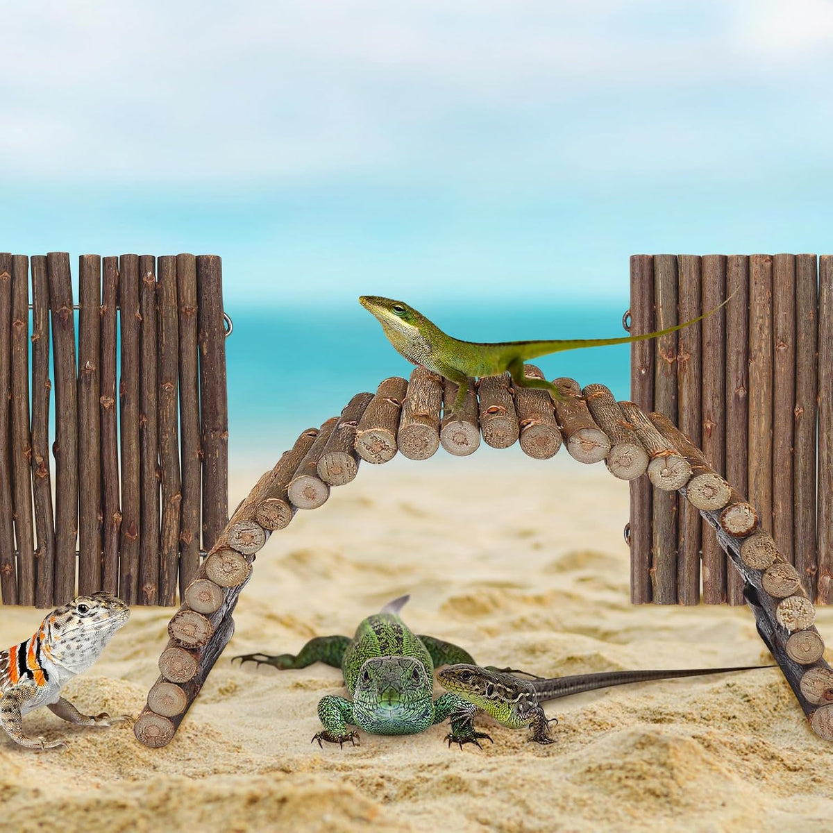 QUOZUO 2PCS Reptile Hideout Hermit Crab Bendable Bridge - image 4