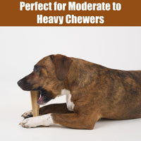SPOT Bam-Bones Plus T-Bone Dog Chew - Chicken / Medium - image 3