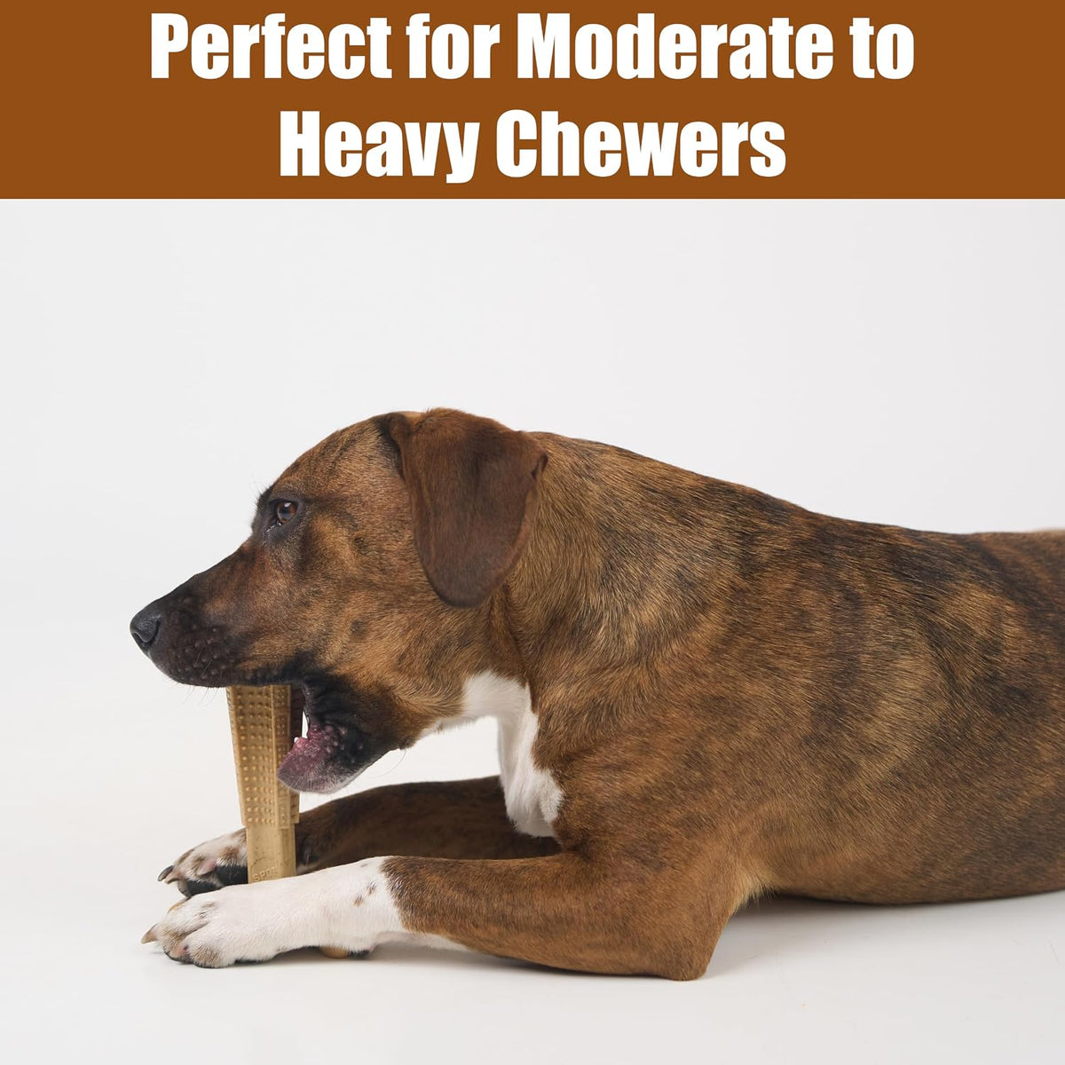 SPOT Bam-Bones Plus T-Bone Dog Chew - Chicken / Medium - image 3