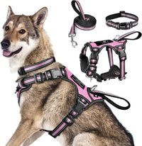 WINSEE Pet Harness Collar and Leash Set - X-Large / Pink