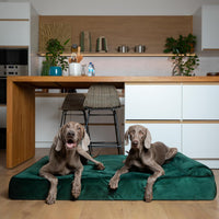 Large Dog Bed Orthopedic Memory Foam Cooling Gel 35x25x8.7 in – Essentials for Dogs - Dark Green - VE / XX-Large - image 3
