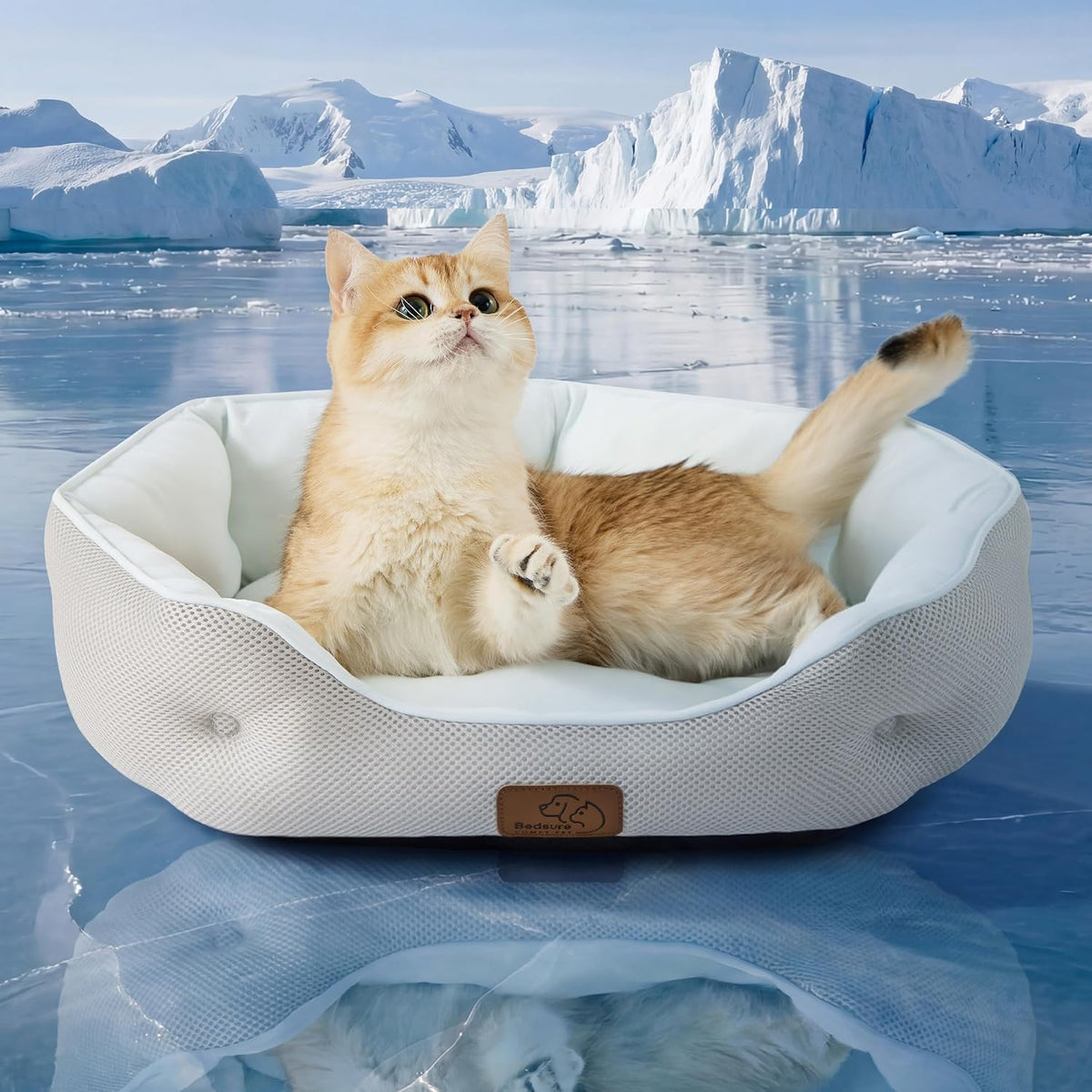 Bedsure Small Dog Bed Washable, Round Cat Beds for Indoor Cats - 20"L x 19"W x 6"Th / Arctic Cooling Blue