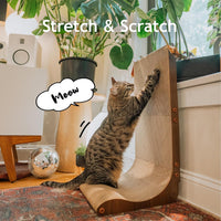 Necoichi Cardboard Cat Scratcher Wall for Indoor Cats - Regular 27.6" / Wall(Dark Cherry) - image 3