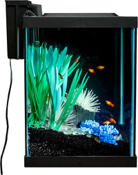 Tetra ColorFusion 20 Gallon Complete Aquarium Kit – Essentials for Fish - image 3