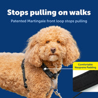 PetSafe 3 in 1 No-Pull Dog Harness, Walk, Train or Travel - Black / Small (Pack of 1) - image 3