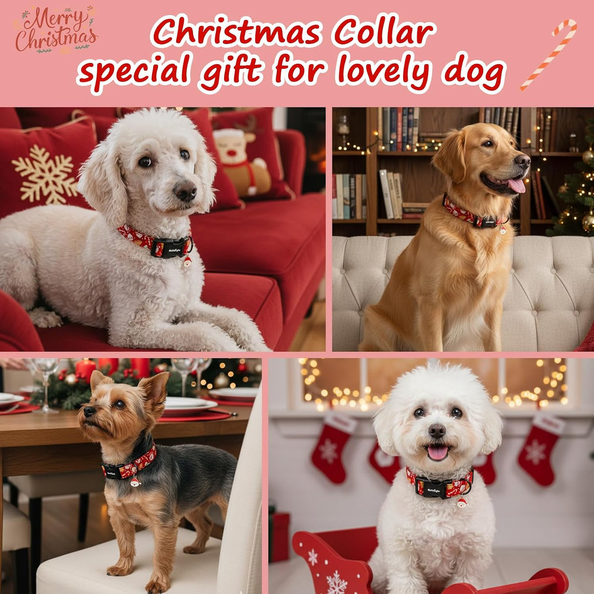 Medium Dog Collars for Male Dogs - Magic Red Christmas / S - image 2