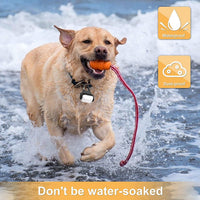 Dog Lights for Night Walking, Clip on Dog Collar Light, 3 Modes - White-3pcs-3Modes - image 4