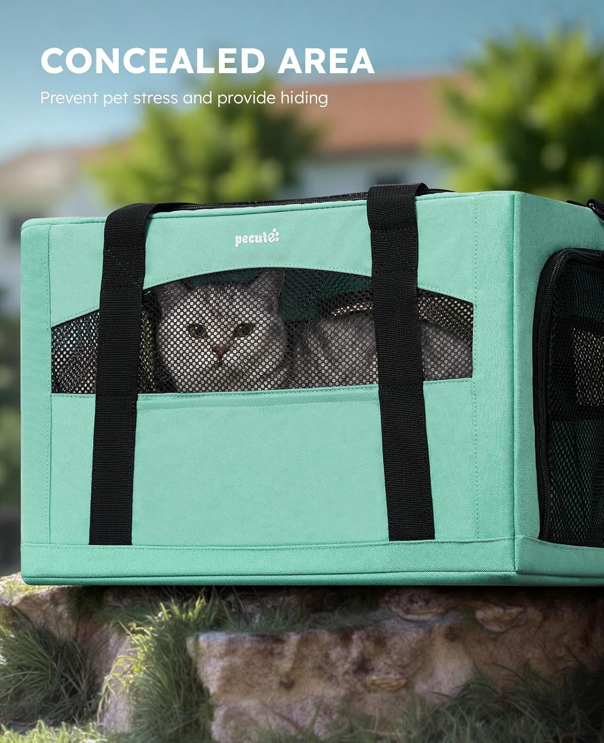 Pecute Cat Carrier Stable, Pet Carrier with Privacy Partition - Light Green / 16.9"L x 11.0"W x 11.0"H - image 4