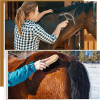 Abbylike 12 Pieces Horse Grooming Kit Racing Festival Tack Room Supplies Horse Brush Sets Equine Care Cleaning Kit Shedding Grooming Massaging Tools(Dark Gray)