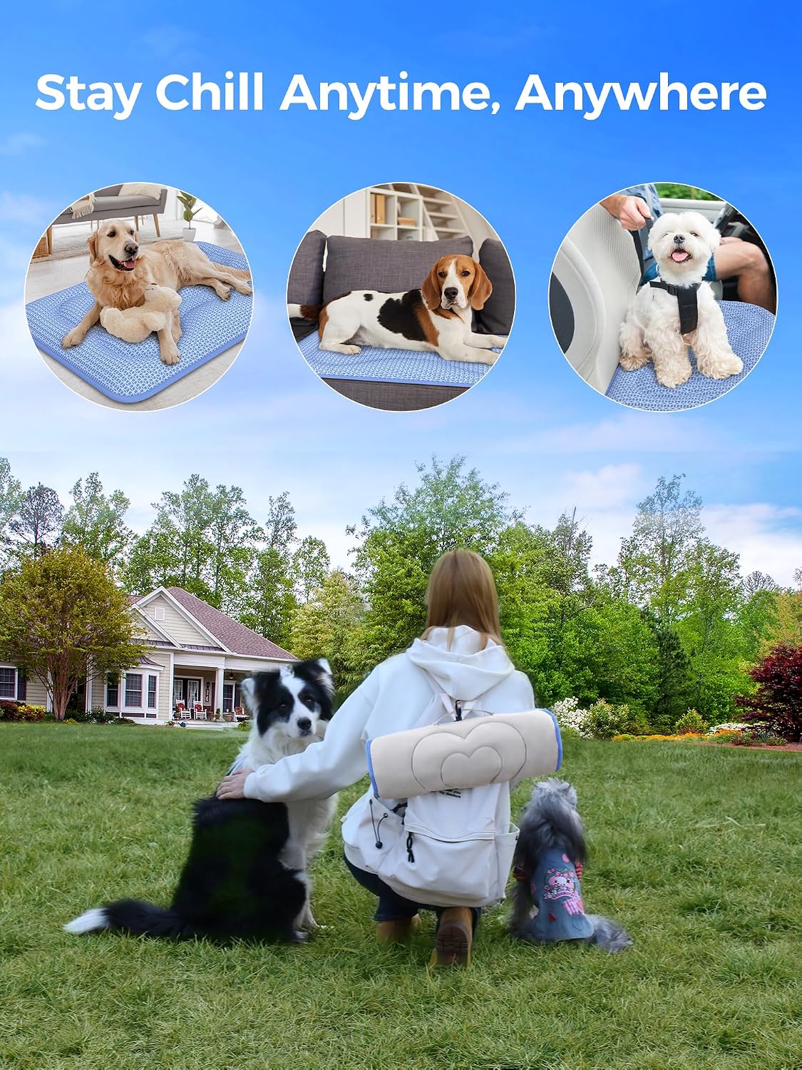 Thickened Cooling Mat for Dogs, Suitable for All Seasons - Blue / L - image 3