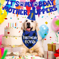STMK Dog Birthday Decorations - X-Large / Blue - image 2