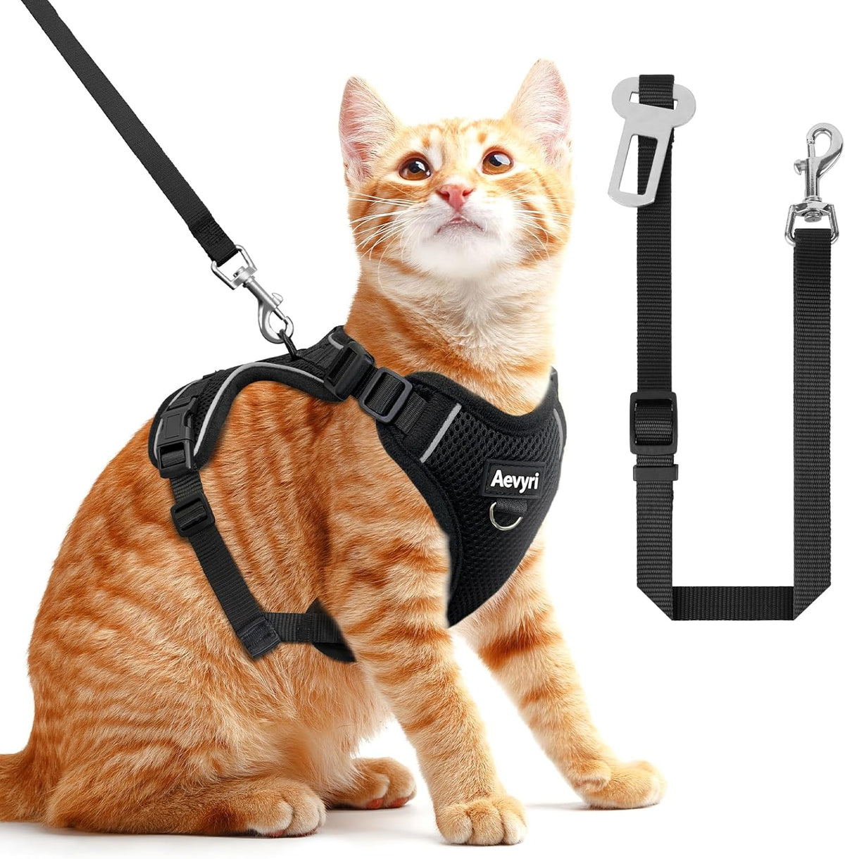 Cat Harness, Cat Harness and Leash for Walking - Black / M(7-12lb)