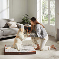 Orthopedic Dog Beds Large Sized Dog Washable Pet Bed - Brown / 30" x 20" x 3" - image 3