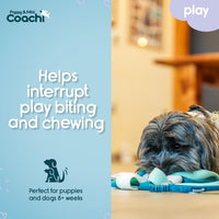 Coachi Puppy & Mini Tuggi Tug, Dog Toy for Tug of War & Play - Tuggi Spider - image 3