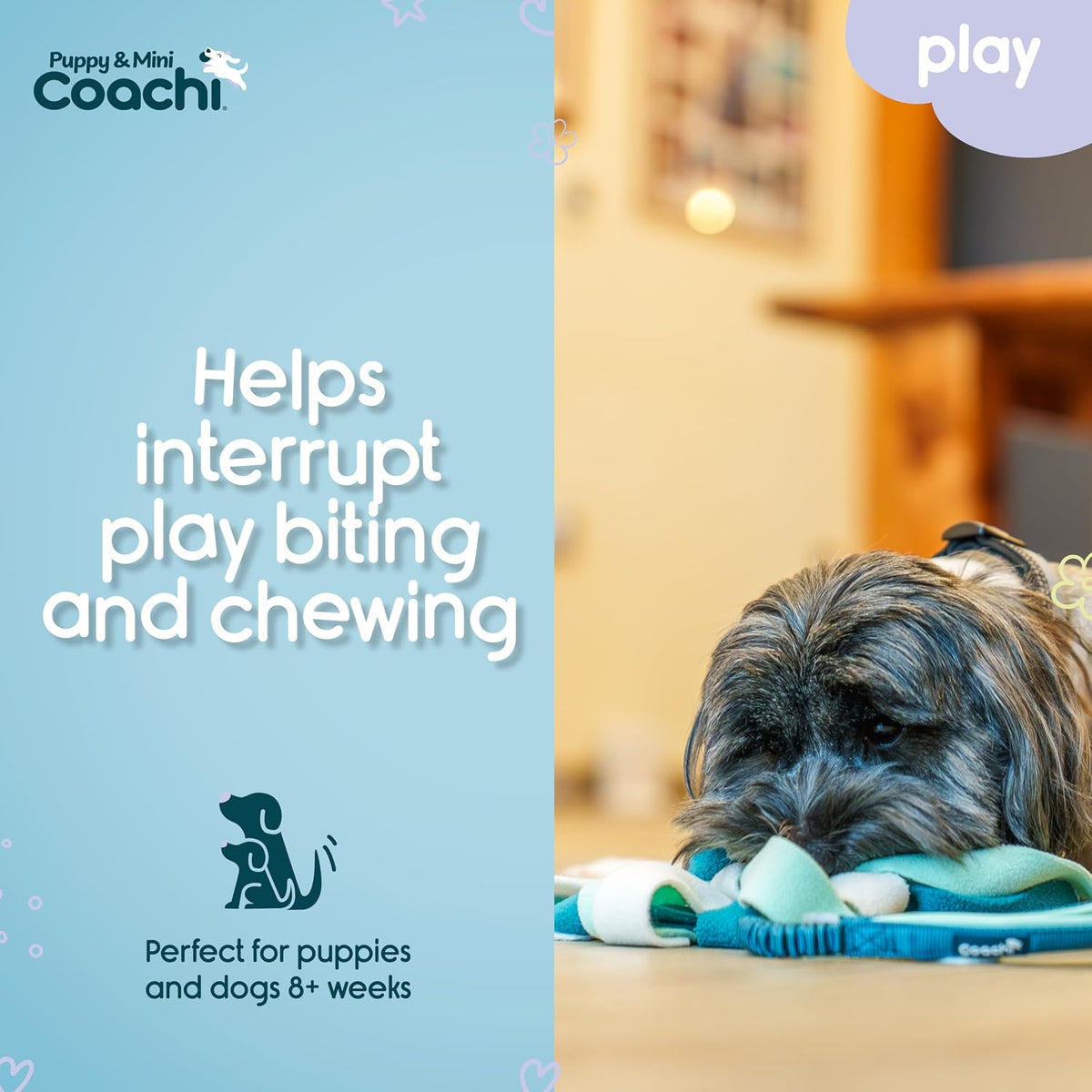 Coachi Puppy & Mini Tuggi Tug, Dog Toy for Tug of War & Play - Tuggi Spider - image 3