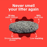 Boxie Premium Unscented Clumping Cat Litter 30+ Day Odor Control – Daily Care for Cats - Extra Strength / 16 lb - image 3