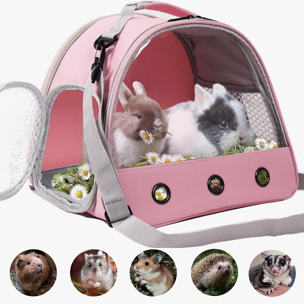 Bearded Dragon Travel Carrier, Lizards Carrier - Pink / Carrier - image 3
