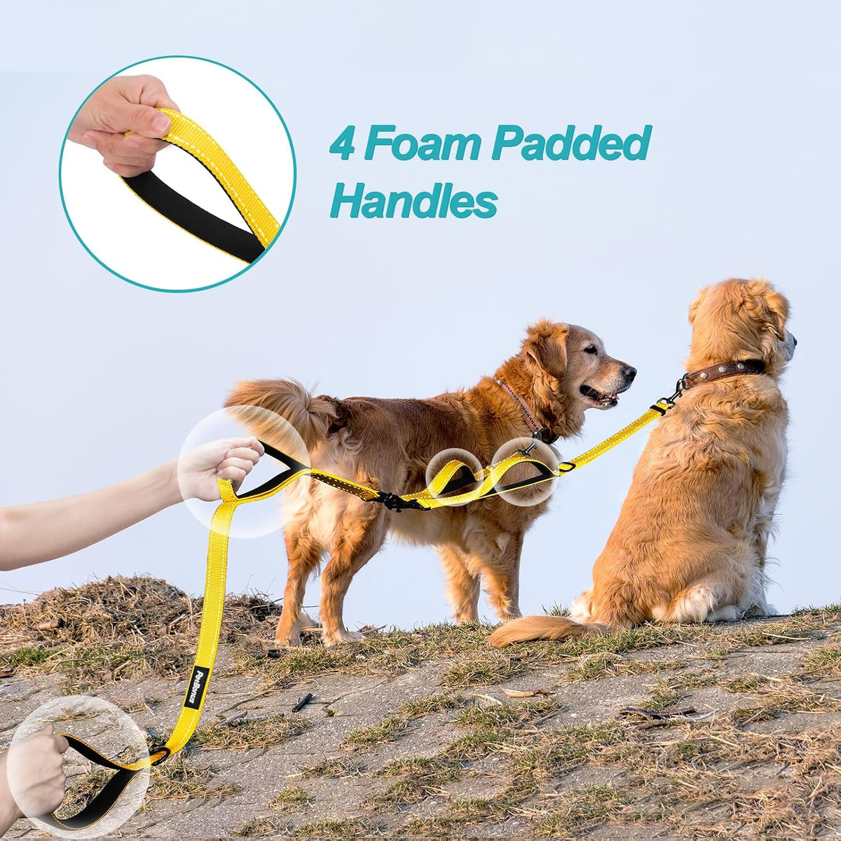 Double Dog Leash, No Tangle Dual Leash - Yellow - image 3