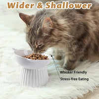 Ceramic Raised Cat Bowl，Tilted Raised Cat Bowl Anti Vomit Cat Bowls - White+Black - image 4