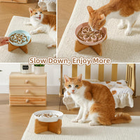 Melamine Cat Slow Feeder Bowl Set - Pink / 1 PACK - with Stand - image 4