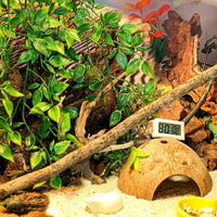HERCOCCI Reptile Plants, 2 Pack Terrarium Hanging Plants Vines Artificial Leaves Habitat - 2 Pack - image 4