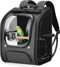 Pecute Bird Backpack Carrier with Standing Perch for Small Parrot - Grey