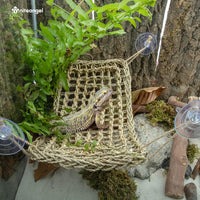 Niteangel Bearded Dragon Seagrass Hammock: Triangle 17'' x 12.5'' – Essentials for Reptiles And Amphibians - Rectangle 16'' x 8'' - image 4