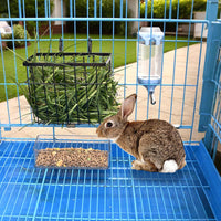 SANGLE SOPFFY Rabbit hay Feeder Small Animal Feeding Set with 350ml - black-4 - image 4