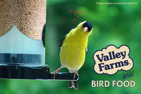 Valley Farms White Millet Wild Bird Seed (5LB) for Outside feeders, White proso Millet, Bird Watcher Secret Wild Bird Food to Attract Colorful Painted Buntings in Southern USA