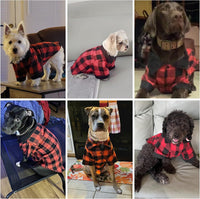KOOLTAIL fall dog shirt in orange and black plaid with snap front, size L - view 2