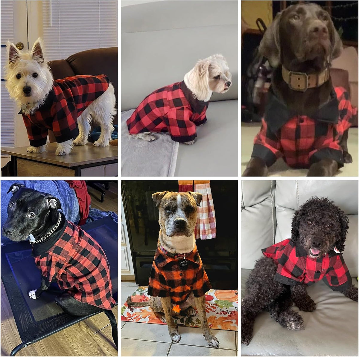 KOOLTAIL fall dog shirt in orange and black plaid with snap front, size L - view 2