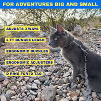 Travel Cat Harness and Bungee Leash Set, Large Cats, Kitten - Checkered - image 3