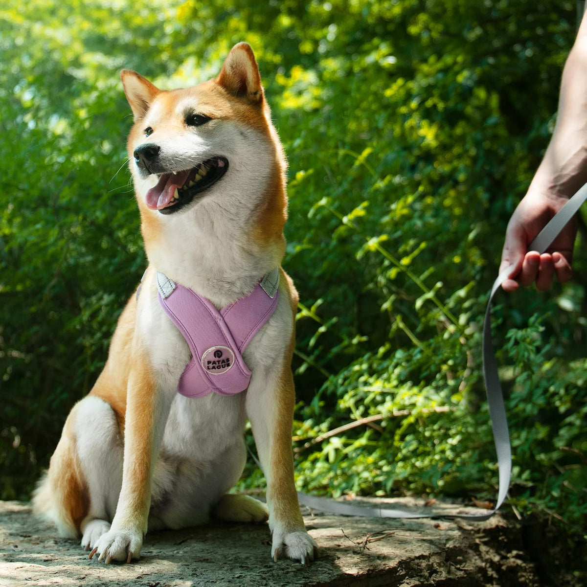 Patas Lague Dog Harness Medium Sized Dog Pet Vest with Leash Set Pink - Lilac / XS (Neck 16-19.1'' Chest 18.8-21.5'') - image 2