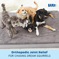 Barkbox Orthopedic Dog Bed with Memory Foam, Premium Comfort for Dogs and Puppies, Dog Bed for Joint Relief and Restful Sleep, Durable and Easy to Clean - Grey, XL