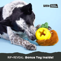 Barkbox Fowl Play Treat Dispensing Hard Core Plush Toy for Aggressive Chewers - Large