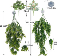Reptile Plants for Bearded Dragon Tank Accessories - Group En - image 4