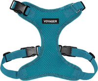 Voyager Step-in Lock Dog Harness, Pink - Harness (Turquoise) / XL (Chest: 23 - 28")